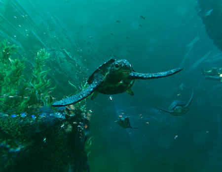 Prehistoric Aquarium